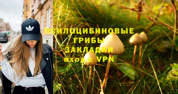 MDMA Дмитровск