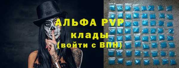 сатива Дмитров