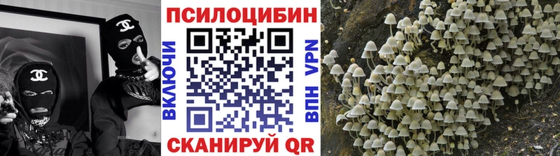 магазин продажи наркотиков  Евпатория  Галлюциногенные грибы ЛСД 
